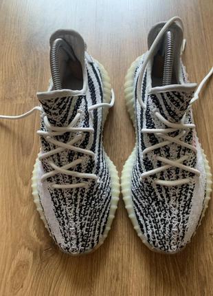 watch man jump in front of train wearing adidas nmd zebra оригинал