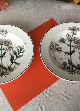 Две глубокие тарелки! villeroy &boch! ботаника!