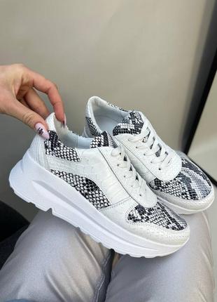 Комбинированные кожаные кеды кроссовки с нереально удобной колодкой