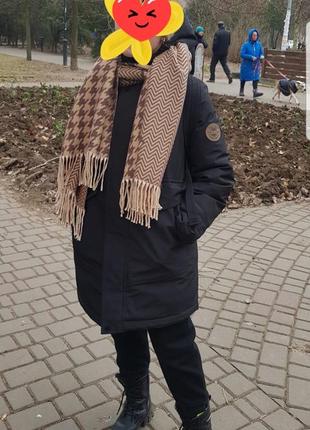 Зимова парка