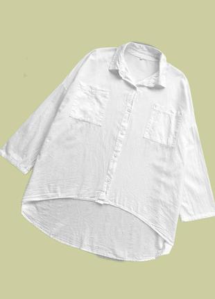 Коттоновая  рубашка. 🇮🇹 италия