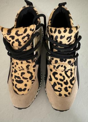 Стильные кроссовки steve madden