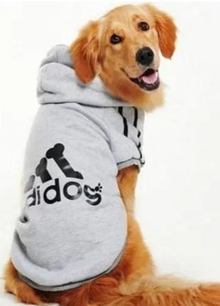 Кофта для собак  adidog.