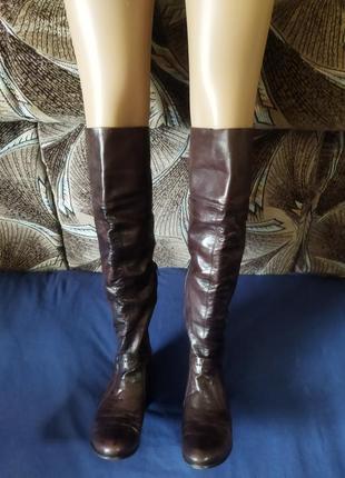 Ботфорди carnaby 38р.