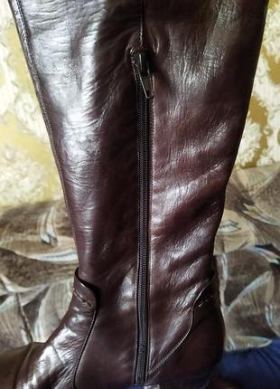 Ботфорди carnaby 38р.