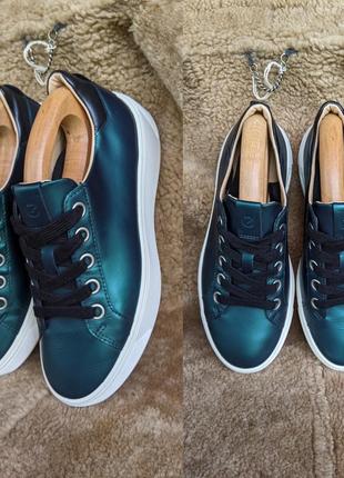 Туфлі ecco street tray кеди снікери кросівки clarks camper geox lacoste alexander mcqueen veja6 фото