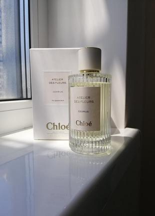 Chloe atelier des fleurs cedrus