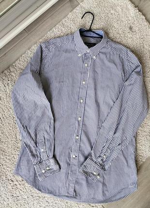 Бавовняна біла сорочка в синю смужку від massimo dutti