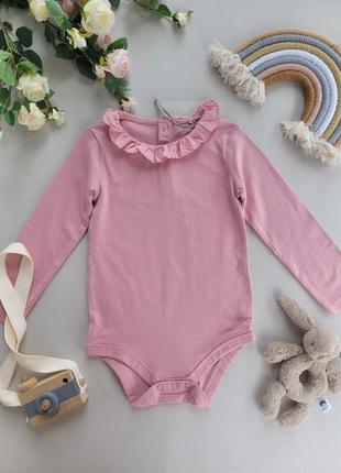 Бодік рожевий