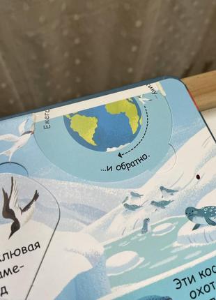 Робинс волшебные створки книга