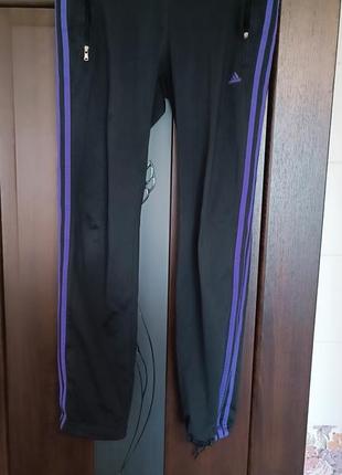 Спортивні штани adidas