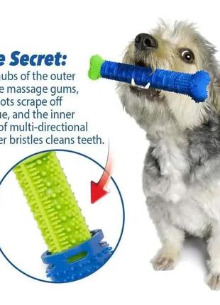 Самоочисна зубна щітка для собак собакам сhewbrush масажна щітка для домашніх тварин, що самоочищається3 фото