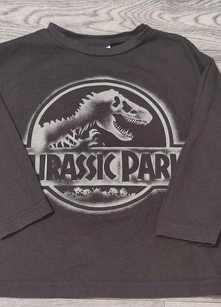 Реглани лонгсліви zara в ідеалі 5