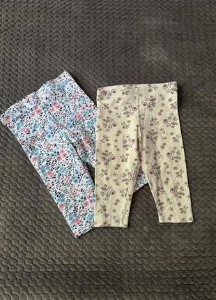 Набір лосин