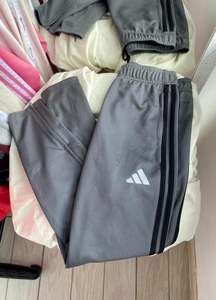 Спортивные штаны adidas