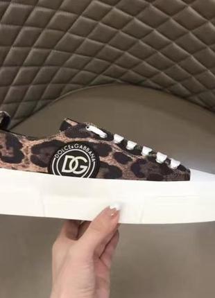 Кеди dolce gabbana