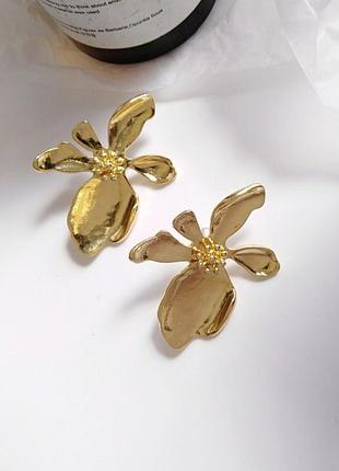 Серьги