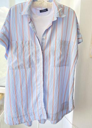 Распродажа рубашка голубая в полоску zara размер s-m
