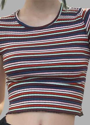 Топ полосатий