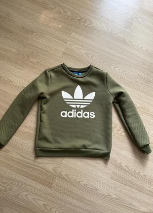 Світшот adidas