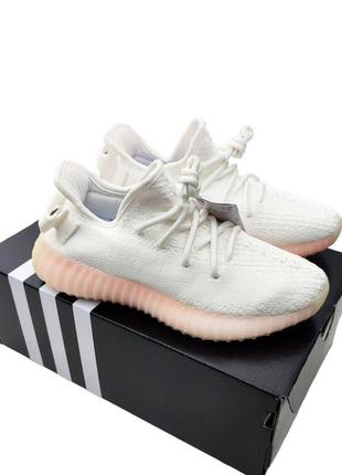 Жіночі кросівки adidas EQT Support 93 Grey Blue