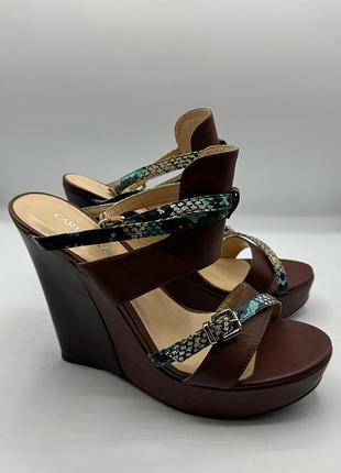 Оригинальные женские кожаные туфли carlo pazolini