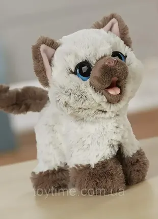 Интерактивная игрушка котенка каме от hasbro