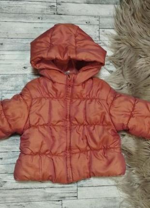 Детская куртка, курточка на флисе  baby club 6-9 мес. унисекс1 фото