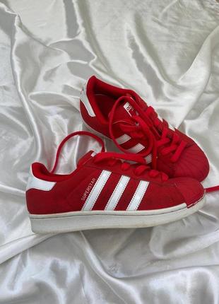 Кроссовки adidas superstar