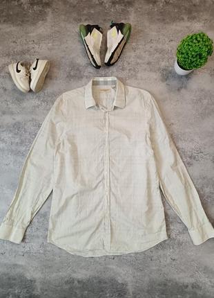 Рубашка burberry