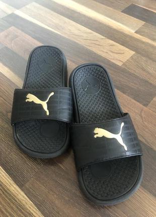 Puma