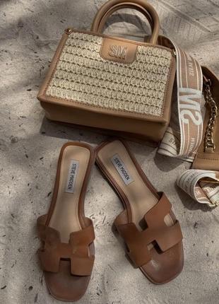 Steve madden