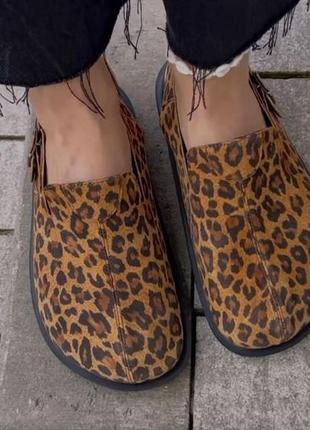 Жіночі шкіряні леопардові клоги преміум якості, босоніжки для жінок