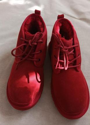 Мужские ugg