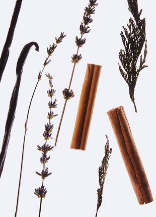 Мужской парфюм zara wo/01 somewoody eau de parfum 100 мл5 фото