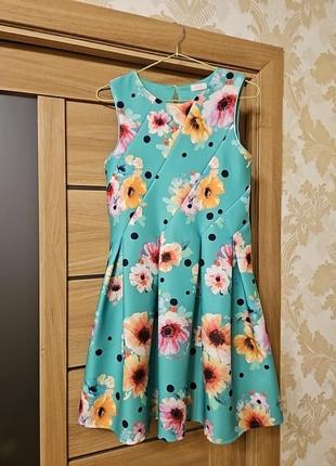 Сукня ted baker