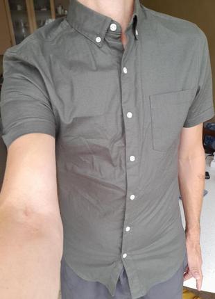 Новая мужская рубашка topman
