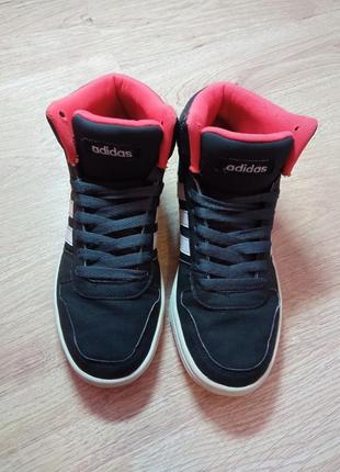 Кросівки жіночі policy adidas