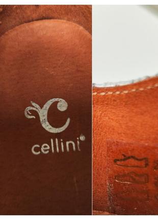 Cellini жіночі шкіряні туфлі оксфорди в принт пітона