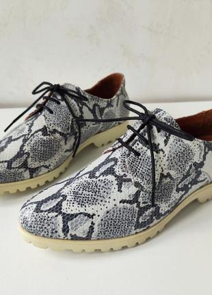 Cellini жіночі шкіряні туфлі оксфорди в принт пітона