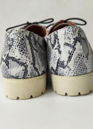 Cellini жіночі шкіряні туфлі оксфорди в принт пітона