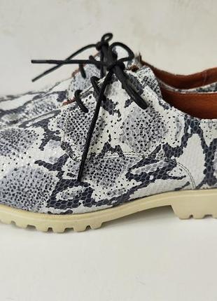 Cellini жіночі шкіряні туфлі оксфорди в принт пітона