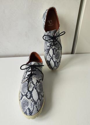 Cellini жіночі шкіряні туфлі оксфорди в принт пітона