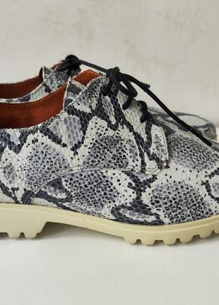 Cellini жіночі шкіряні туфлі оксфорди в принт пітона