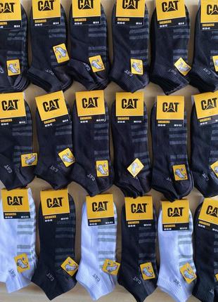 Шкарпетки cat оригінал