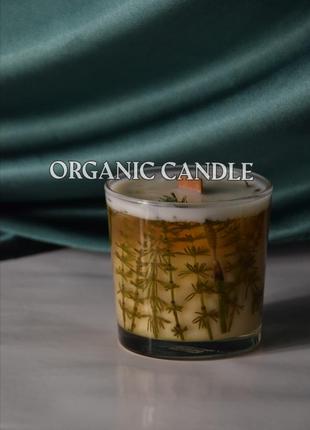 Ботанічна свічка арома 7