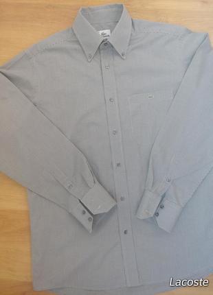 1+1=3🎁на все❗lacoste оригінальна сорочка чоловіча коричнева з білим