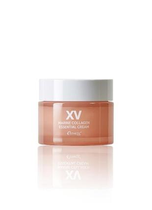 Зволожуючий крем для обличчя з морським колагеном esthetic house marine collagen essential cream