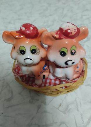 Набір для спецій