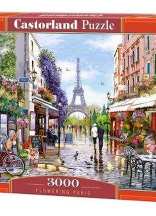 Пазли "прекрасний париж", 3000 елементів